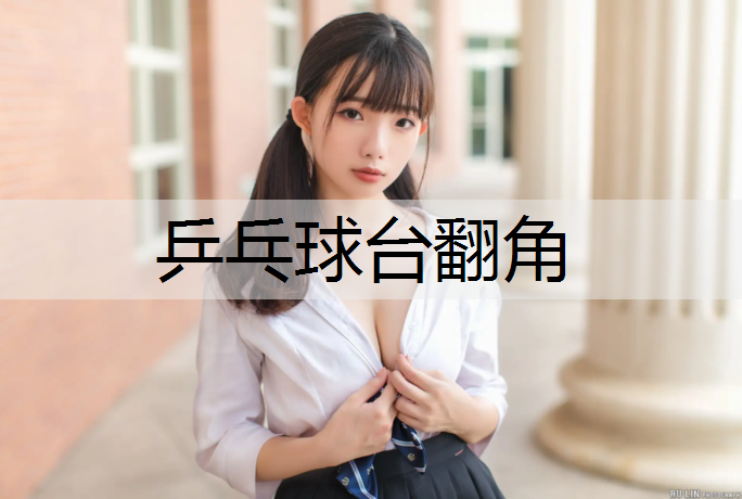 乒乓球台翻角