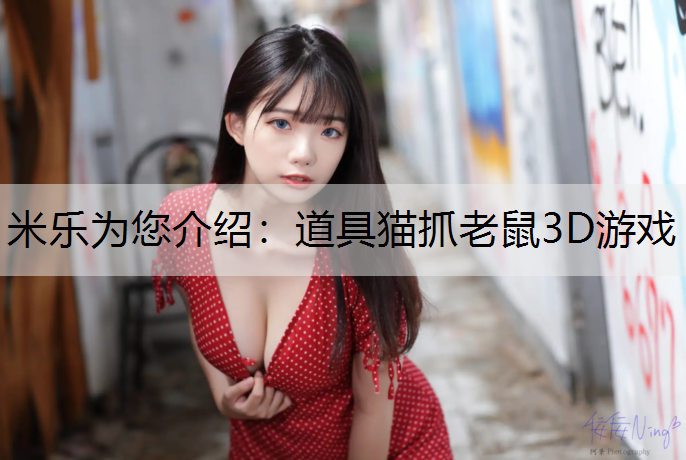 <strong>米乐为您介绍：道具猫抓老鼠3D游戏</strong>
