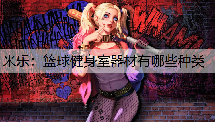 篮球健身室器材有哪些种类