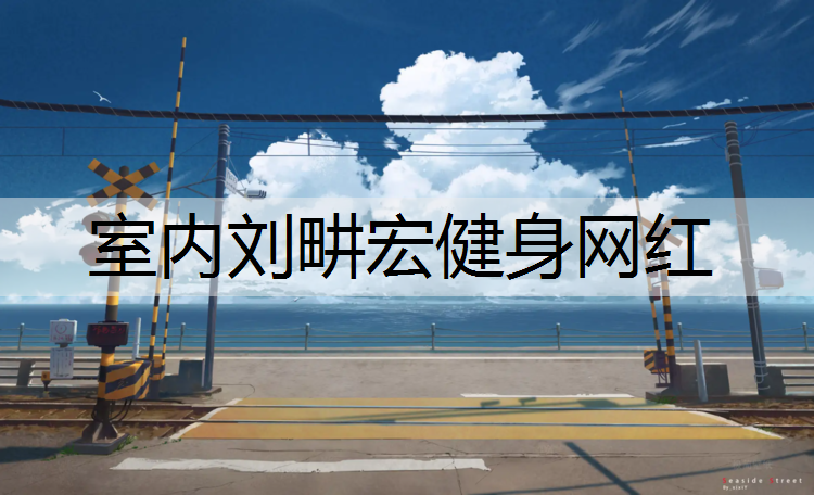室内刘畊宏健身网红