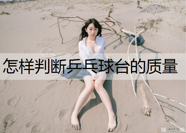 怎样判断乒乓球台的质量